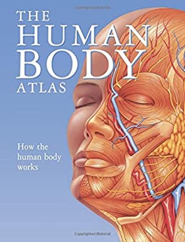Atlas corps humain - du,