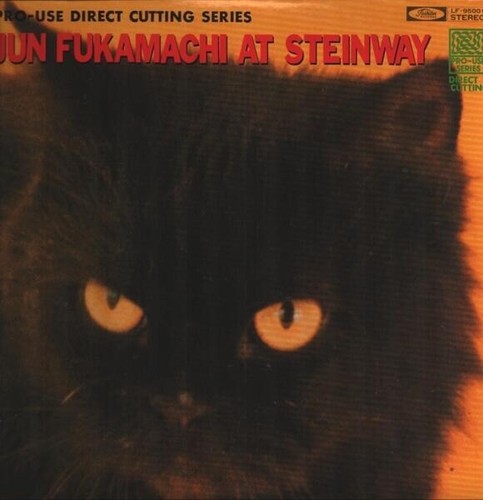 Jun fukamachi steinway - jun,