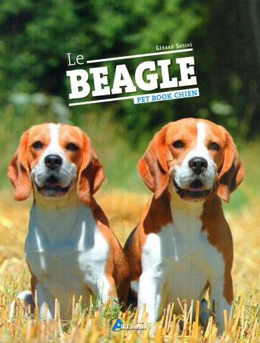 Beagle gérard sasias - le,