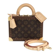 Louis Vuitton Monogram Petite