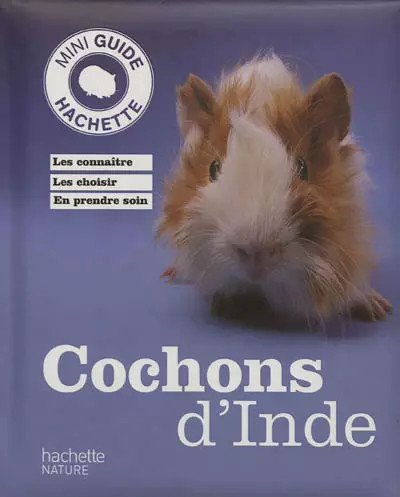 Cochon inde immanuel - cochon, d'inde,