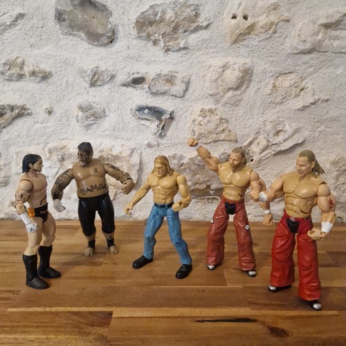 Lot figurines catch wwe - lot,