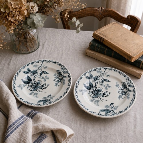 Paire assiettes semi - semi, creuses