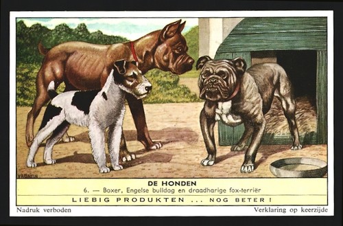 Image collection liebig - collection,
