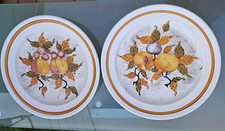 2 Plat À Tarte Porcelaine  Création BASSANO ITALIY  Décor Fruits Diam 32 cm