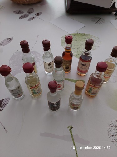 Mignonettes alcool - mignonettes,