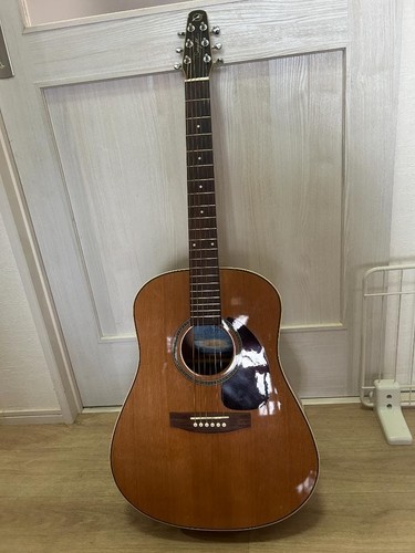 Sac concert pour guitare - concert,