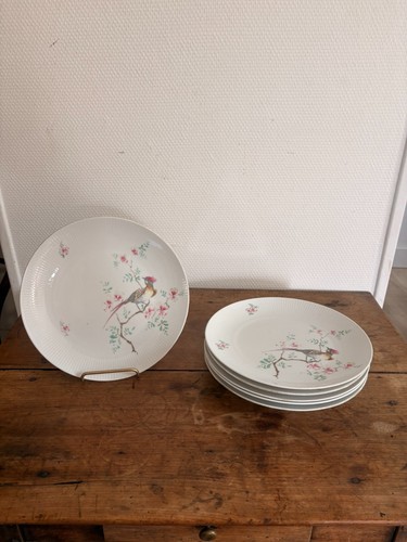 Lot assiettes plates - ⁠lot,