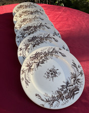 6 rares assiettes à dessert