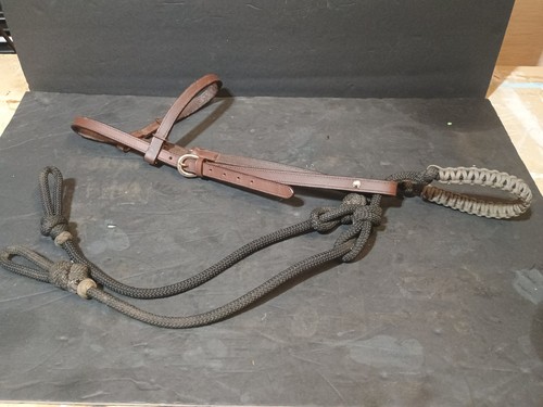Western leather loping - western,