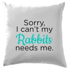 Sorry I Can'T My Lapins Needs Me - Coussin - Nain Lop Hollandais Lapin