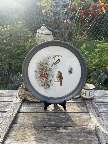 Plat polychrome oiseaux - plat,