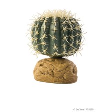 Exo Terra Plante De Terrarium