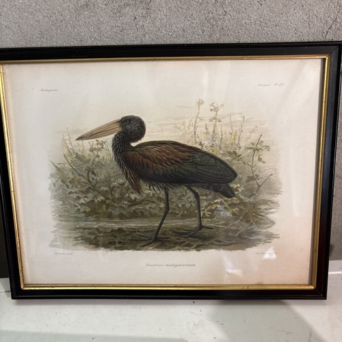 Magnifique gravure ancienne - gravure,