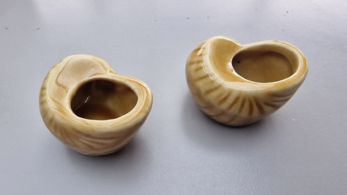 Coquilles escargot pour - coquilles,
