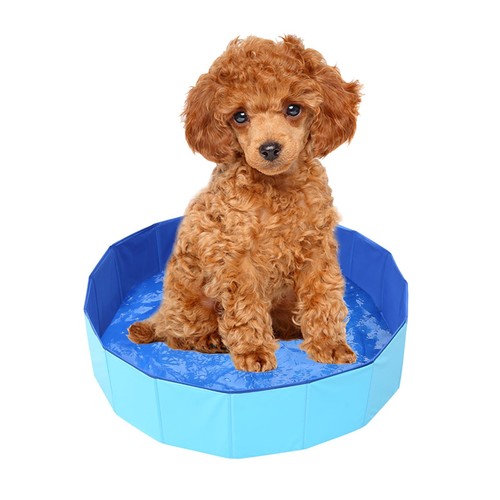 Piscine pour chien pliable - piscine,