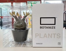 PACHYPODIUM GRACILIUS Model Number Var. AUTUMN LEAVES MEDICOMTOY BOTANIZE