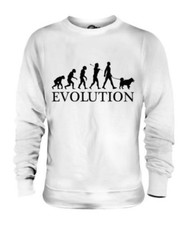 Husky Sibérien Évolution De Homme Unisexe Pull Hommes Femmes Chien Amant Cadeau