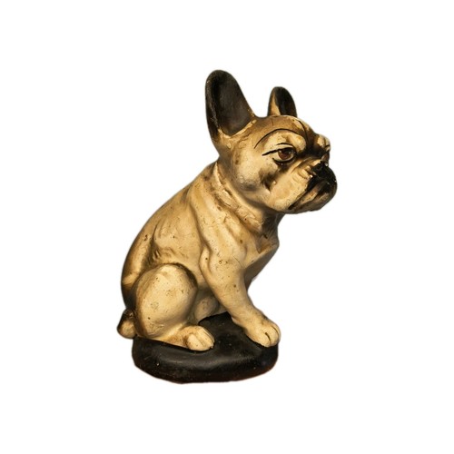 bouledogue francais