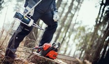 10T hydraulique mécanique forêt wedge abattage wedge cône fendeuse à bois nouvea