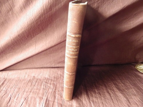 Vial connaissance cheval - ,