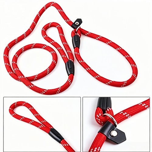 Laisse nylon coulante - , 120cm