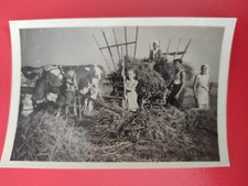 Lot 4 photos Fenaison cow hay rake R2-18