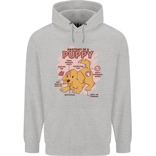 Anatomie chiot homme - d'un,