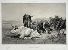 Paturage Normandie GRAVURE