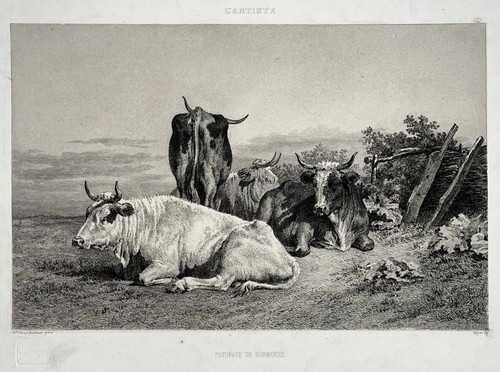 Paturage normandie gravure - paturage,