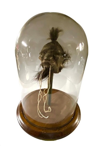 Tsantsa jivaro shrunken - shrunken, head