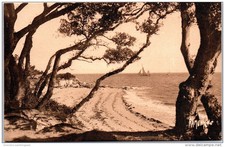 85 NOIRMOUTIER - un coin du bois de la chaise.