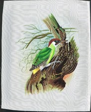 Peinture Miniature À La Main