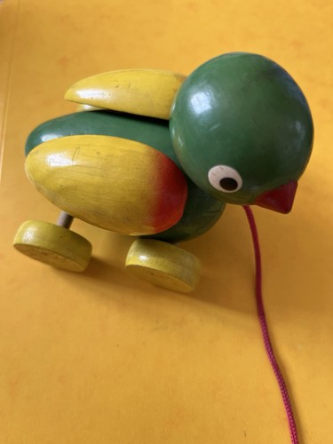 Canard oiseau bois - canard, ou