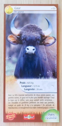 Carte merveilles monde - du,