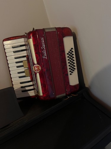 Accordéon vintage paolo - accordéon,
