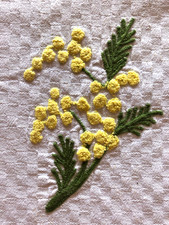 2 ESSUIE-MAINS -TORCHONS