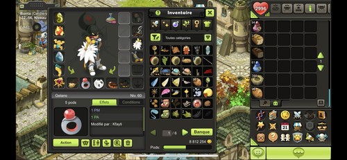 Compte dofus touch - compte,