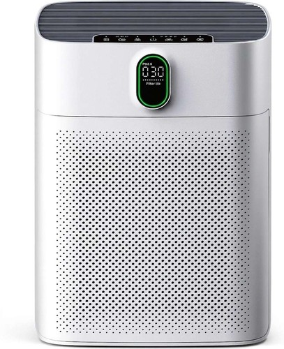 Purificateur air pureborne - purificateur, d'air