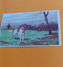 Old postcard hunting hunter and dog