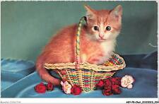 AKYP8-0707-CAT - RED CAT IN A BASKET