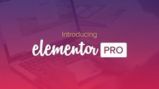 Elementor Pro - WordPress