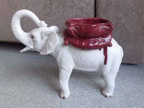 Ancien éléphant yeux - ancien,