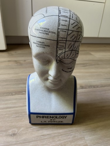 Phrenology ceramic head - phrenology,