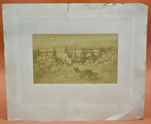 Photogravure xixème le - photogravure,