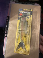 Spro KGB Chad Shad 180 Glide Bait