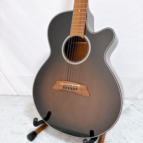 Guitare électrique acoustique