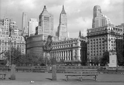 Ville new york pigeon - ville, central