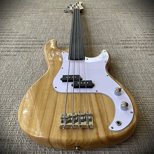Fretless electric bass guitar - bass,