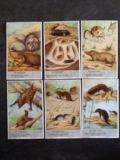 LOT 6 CHROMOS LIEBIG SERIE LES